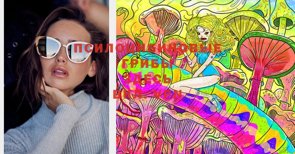 кристаллы Осинники
